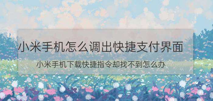 小米手机怎么调出快捷支付界面 小米手机下载快捷指令却找不到怎么办？